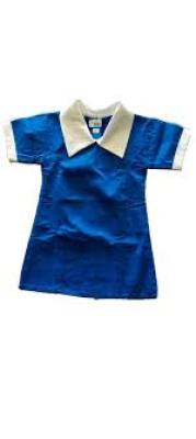 Royal Blue Dresses 32